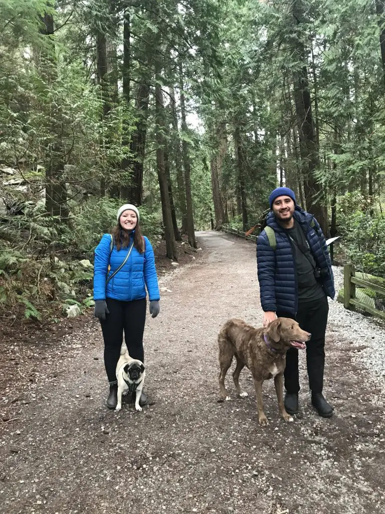walking dogs in West Vancouver
